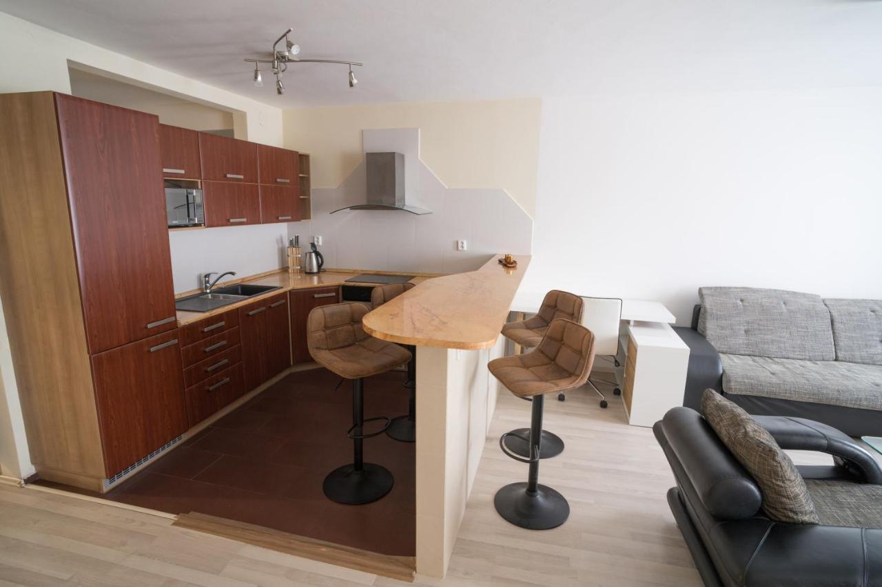 Apartment Vodni With Parking Brno Eksteriør billede